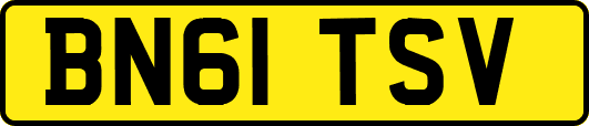 BN61TSV