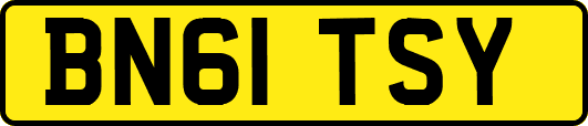 BN61TSY