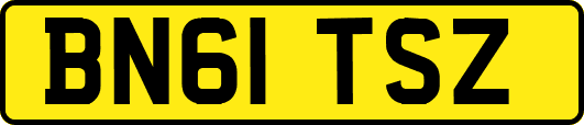 BN61TSZ