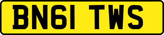 BN61TWS