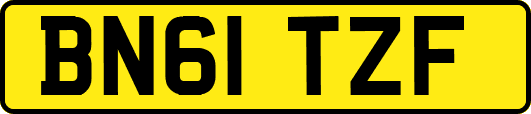 BN61TZF