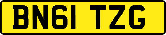 BN61TZG