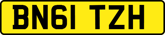 BN61TZH