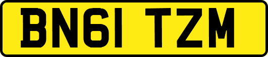BN61TZM