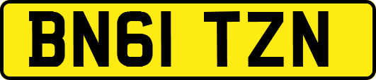 BN61TZN
