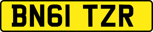 BN61TZR