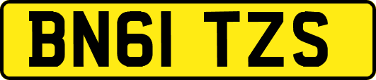 BN61TZS