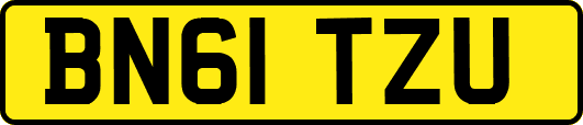 BN61TZU