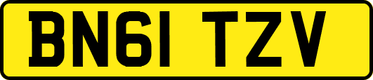 BN61TZV