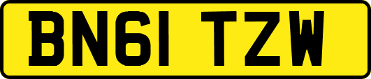 BN61TZW