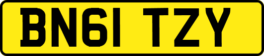 BN61TZY