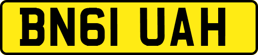 BN61UAH