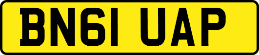 BN61UAP