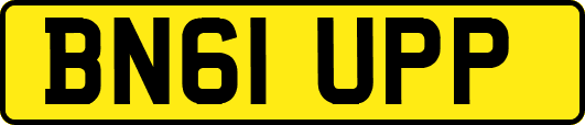 BN61UPP