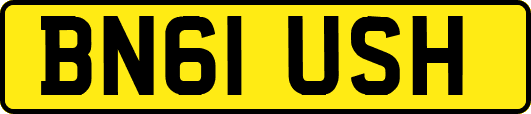 BN61USH