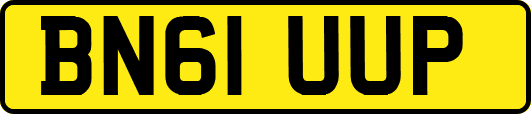 BN61UUP