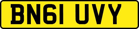 BN61UVY