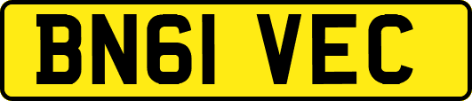 BN61VEC