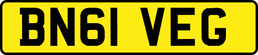 BN61VEG