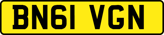 BN61VGN