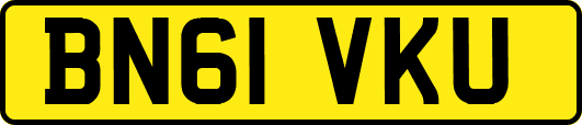 BN61VKU