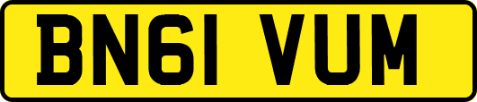 BN61VUM