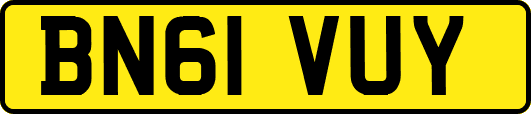 BN61VUY