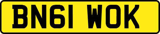 BN61WOK