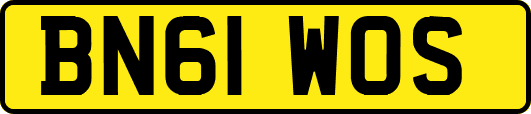 BN61WOS