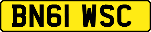 BN61WSC