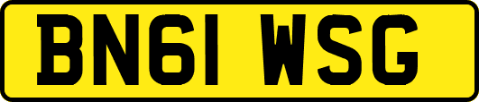 BN61WSG