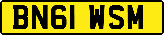 BN61WSM