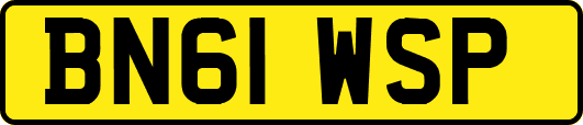 BN61WSP