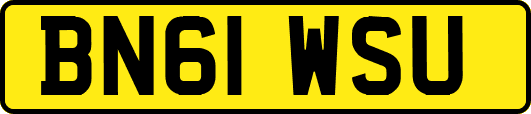 BN61WSU
