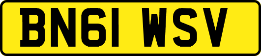 BN61WSV