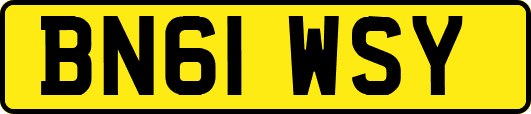 BN61WSY