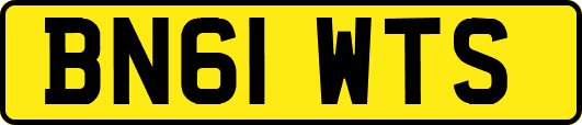 BN61WTS