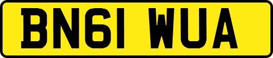 BN61WUA