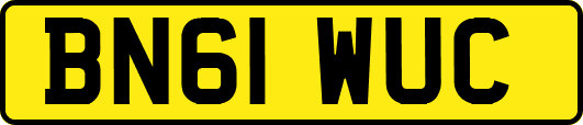 BN61WUC