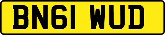 BN61WUD