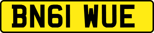 BN61WUE