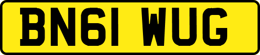BN61WUG