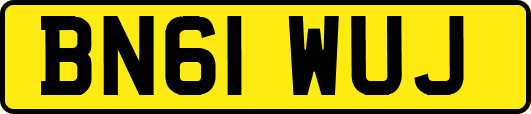BN61WUJ