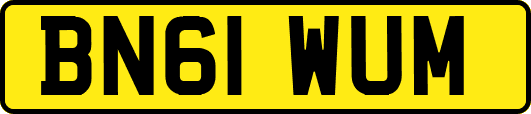 BN61WUM