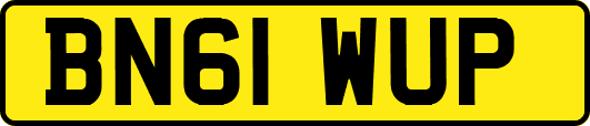 BN61WUP