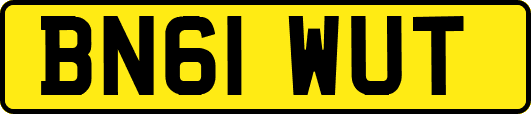 BN61WUT