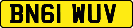 BN61WUV