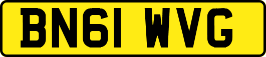 BN61WVG