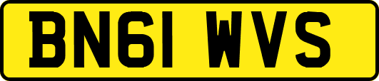 BN61WVS