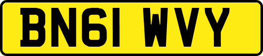 BN61WVY
